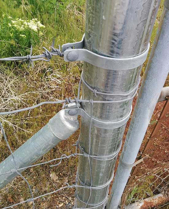 Barbed Wire Pipe Fence