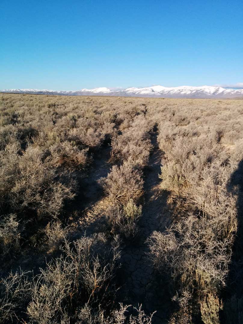 Forgotten Road Across Dove Ranch